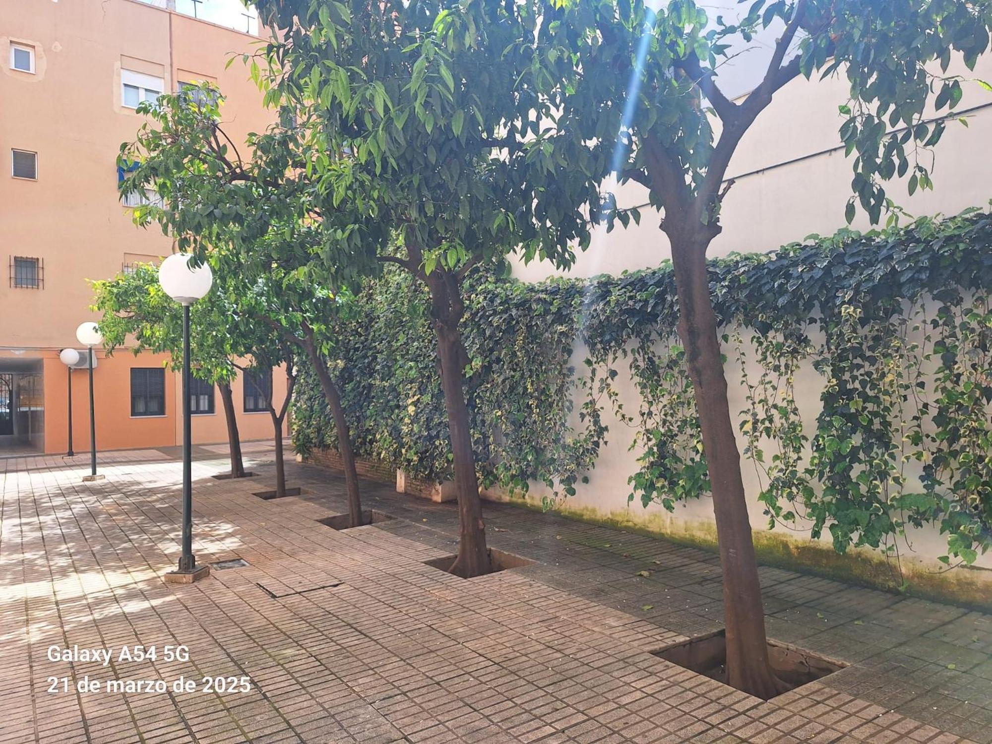 Santa Vicenta Maria En El Centro Appartement Sevilla